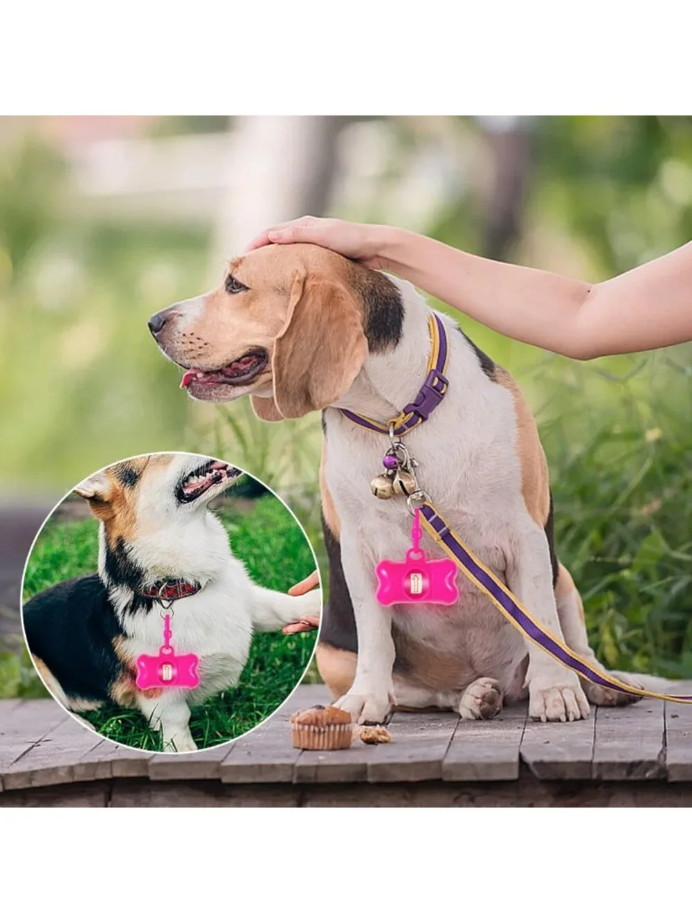 40 Pack Bone Shaped Poop Bags with Dispenser | Pet Waste Disposal Bags - Random